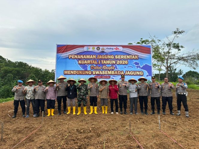 
					Ket.Wakapolres Kotabaru KOMPOL Andi Ahmad Bustanil, S.I.K., M.H. (tengah), bersama Pasiter Kodim 1004 Kotabaru KAPTEN INF Damuri dan unsur terkait saat melakukan penanaman bibit jagung hibrida secara simbolis di Desa Sarang Tiung, Kecamatan Pulau Laut Sigam, Kotabaru, Sabtu (7/3/2026). Foto.Ryan Wardani