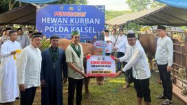 BADKO HMI Kalsel menerima dan menyalurkan bantuan hewan qurban dari Polda Kalimantan Selatan pada Idul Adha 1447 H. (SANAK.ID/Ist)