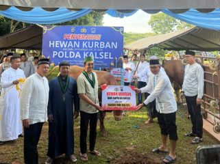 BADKO HMI Kalsel menerima dan menyalurkan bantuan hewan qurban dari Polda Kalimantan Selatan pada Idul Adha 1447 H. (SANAK.ID/Ist)