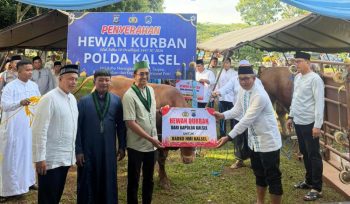BADKO HMI Kalsel menerima dan menyalurkan bantuan hewan qurban dari Polda Kalimantan Selatan pada Idul Adha 1447 H. (SANAK.ID/Ist)