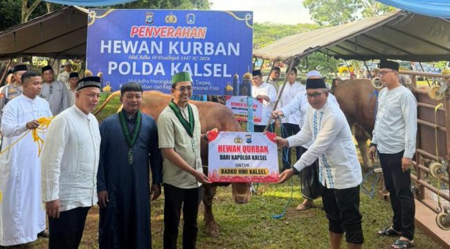 BADKO HMI Kalsel menerima dan menyalurkan bantuan hewan qurban dari Polda Kalimantan Selatan pada Idul Adha 1447 H. (SANAK.ID/Ist)