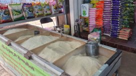 Pedagang beras di Pasar Pelaihari Tanah Laut menata pasokan beras lokal. (SANAK.ID/Ist)