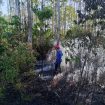 Kondisi lahan terbakar - Petugas Damkar Tanah Laut memadamkan kebakaran lahan di Batu Ampar. (SANAK.ID/Dok.Ist)