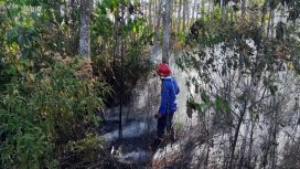 Kondisi lahan terbakar - Petugas Damkar Tanah Laut memadamkan kebakaran lahan di Batu Ampar. (SANAK.ID/Dok.Ist)