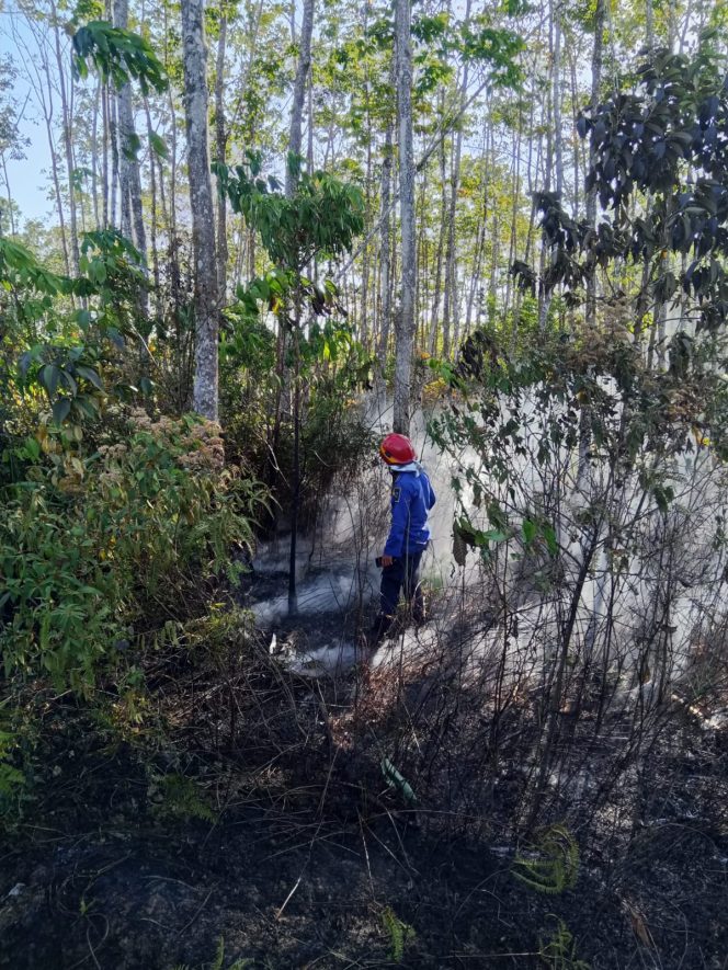 
					Kondisi lahan terbakar - Petugas Damkar Tanah Laut memadamkan kebakaran lahan di Batu Ampar. (SANAK.ID/Dok.Ist) 