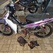 Barang Bukti - Polsek Pelaihari mengamankan pelaku pencurian gudang bengkel Desa Panggung beserta barang bukti sepeda motor. (SANAK.ID/Ali)