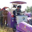 Ket.Bupati Tanah Laut H. Rahmat Trianto menghadiri Panen Padi Serentak di Desa Maluka Baulin, Kecamatan Kurau, yang menjadi pusat pelaksanaan kegiatan di 11 kecamatan. Foto.Ist